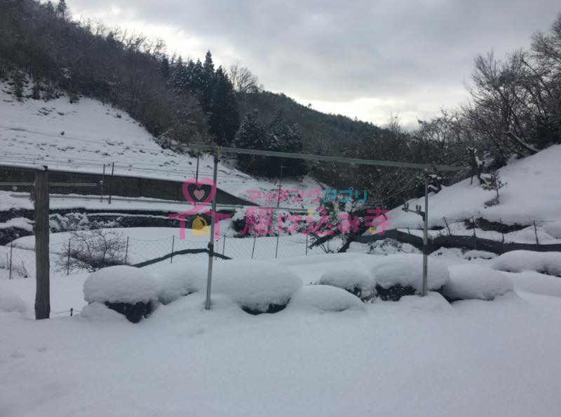 雪が積もった田舎の風景の写真