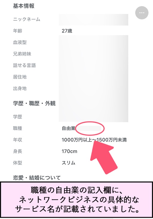 職種の自由業の記入欄に、ネットワークビジネスの具体的なサービス名が記載されていました。