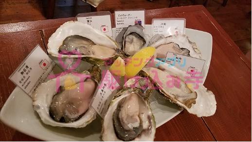 牡蠣が並べられた写真