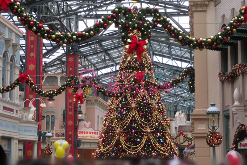 クリスマスシーズンのディズニーパークの写真