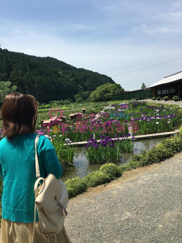 加茂荘花鳥園を歩く女性の写真