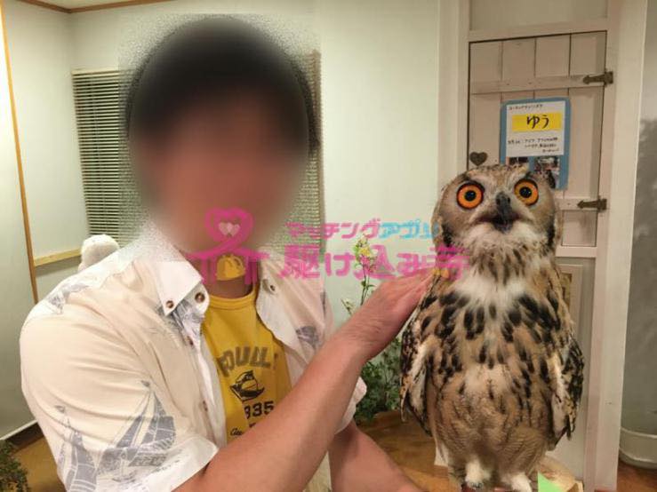 フクロウをもった男性の写真