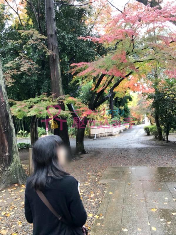 紅葉の下を歩いている女性の写真