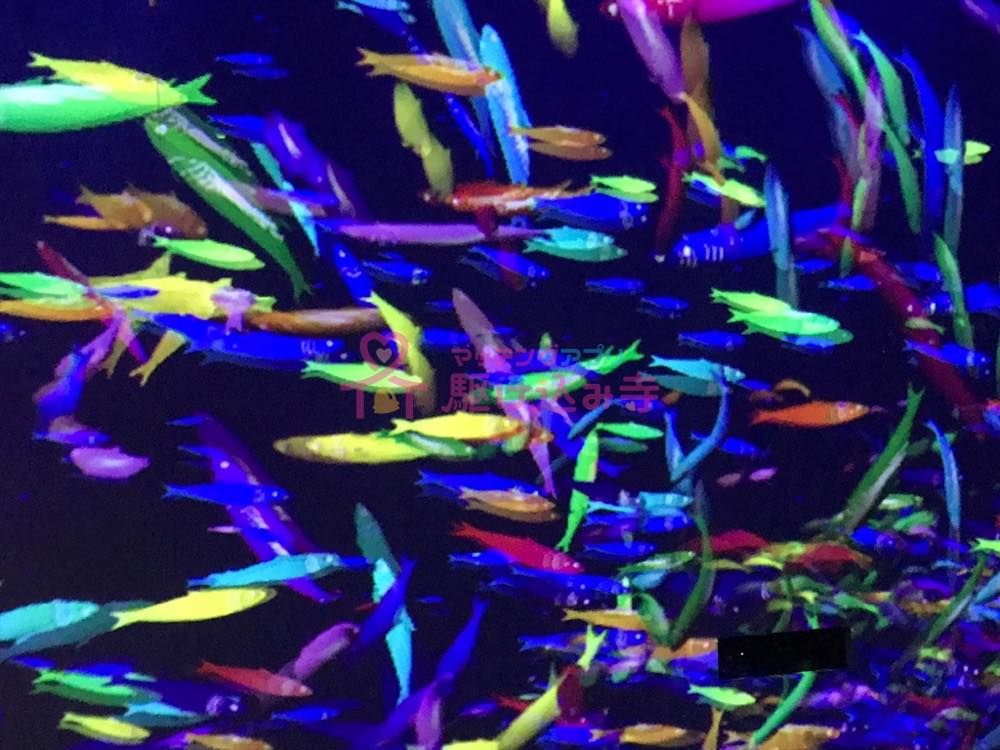 カラフルな魚が泳いでいるデジタルアートの写真