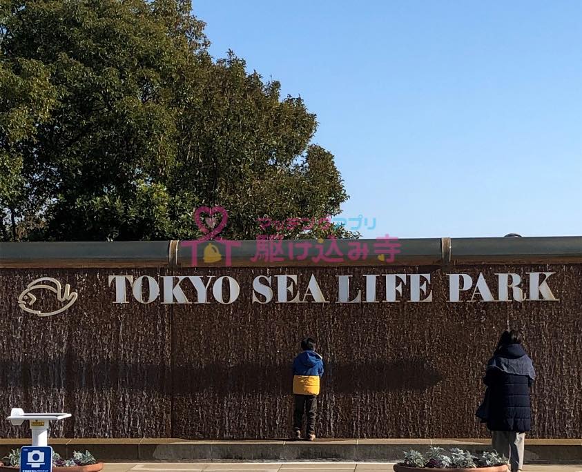 お二人が行った葛西臨海水族園の写真