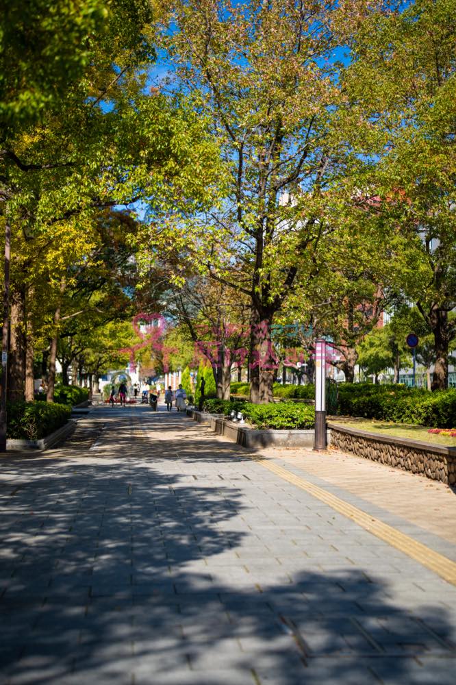 東遊園地前の歩道